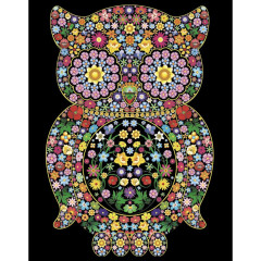 Colorvelvet Sametový obrázek Sova 50x70cm