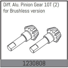 1230808 - Differential Gear 10T (2)