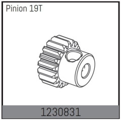 1230831 - Motor Pinion 19T