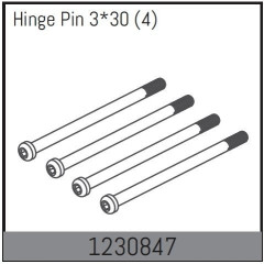 1230847 - Inner Hinge Pin 33x30mm (4)