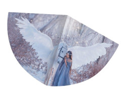 Günther drak Magic World