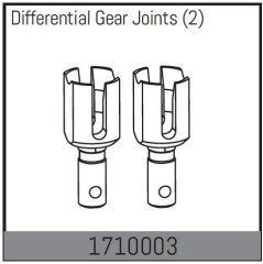 Differential Gear Joints (2)