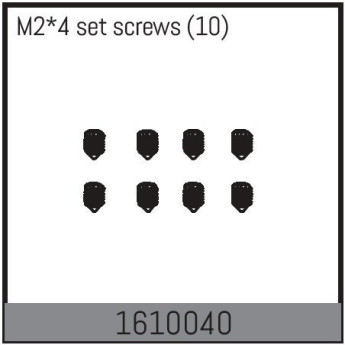 M2*4 set screws (10)