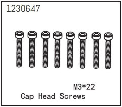 1230647 - Cap Head Screws M3*22 (8)