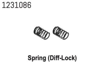 1231086 - Spring (Diff-Lock) CR4.4 (2)