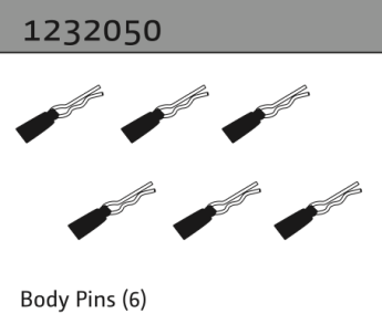 1232050 - Body Pins (6)