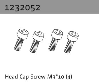 1232052 - Head Cap Screw M3*10 (4)