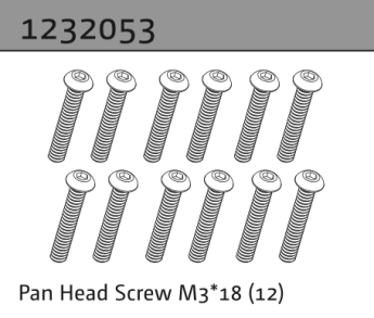 1232053 - Pan Head Screw M3*18 (10)