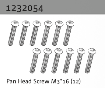 1232054 - Pan Head Screw M3*16 (10)