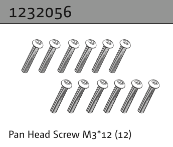 1232056 - Pan Head Screw M3*12 (22)