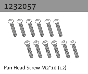 1232057 - Pan Head Screw M3*10 (12)