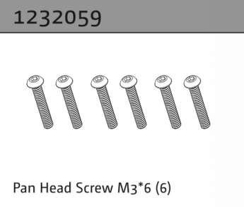 1232059 - Pan Head Screw M3*6 (6)