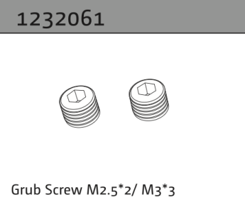 1232061 - Grub Screw M2.5*2/M3*3 (2)