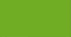 Premium RC - Fluorescentní zelená 60 ml